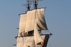 IMG_4587