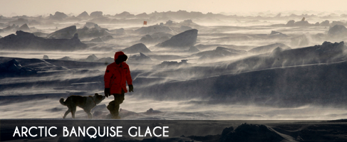 Vignette-arctic-banquise-glace