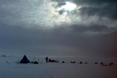 ANTARCTIQUE-031