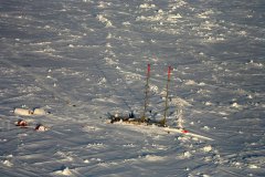 ARCTIC-0983