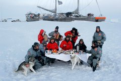 ARCTIC-8533