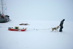 IMG_5140