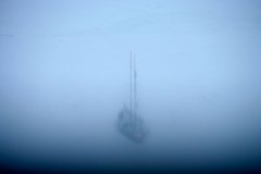 ARCTIC-8698