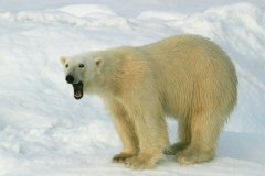 OURS-7489