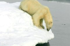 OURS-7497