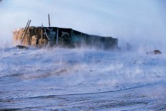 TAIMYR-077
